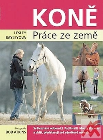 Koně. Práce ze země