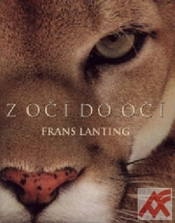 Z očí do očí