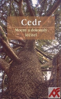 Cedr - Mocný a dokonalý léčitel