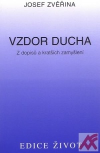 Vzdor ducha