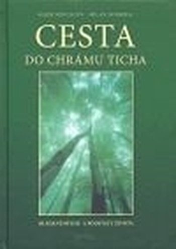 Cesta do chrámu ticha