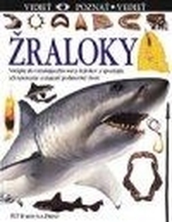 Žraloky - Vidieť, poznať, vedieť