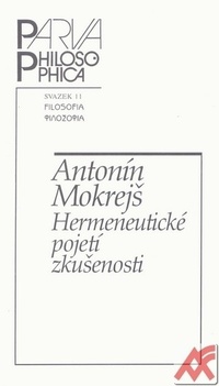 Hermeneutické pojetí zkušenosti