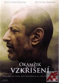 Okamžik vzkříšení - DVD