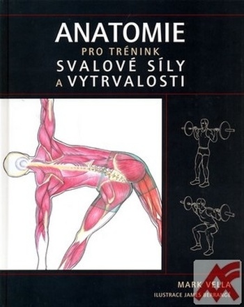 Anatomie pro trénink svalové síly a vytrvalosti