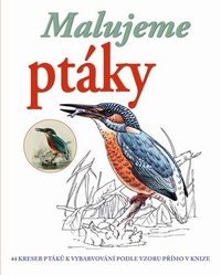 Malujeme ptáky