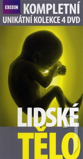 Indivíduá. Esej o deskriptívnej metafyzike