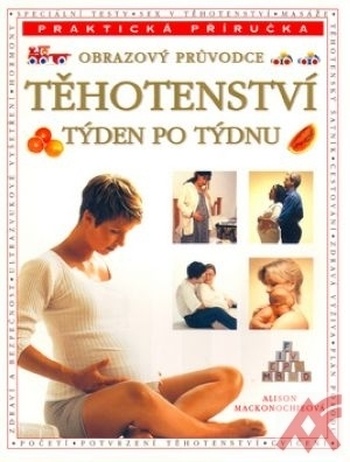 Těhotenství týden po týdnu - obrazový průvodce