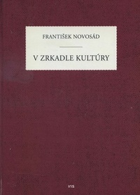 V zrkadle kultúry