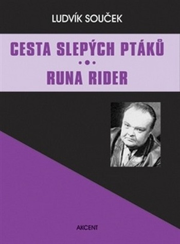 Cesta slepých ptáků. Runa Rider