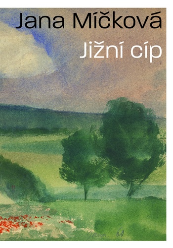 Jižní cíp