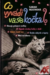 Co vyvádí vaše kočka