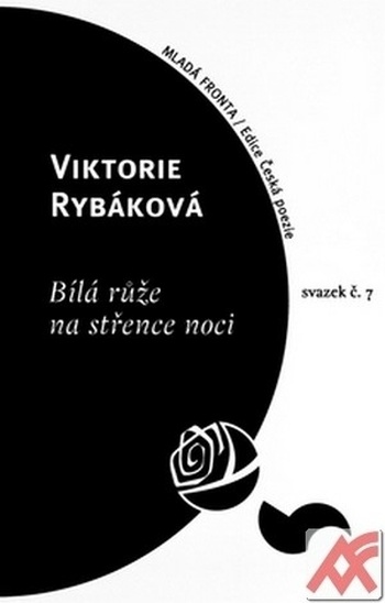 Bílá růže na střence noci