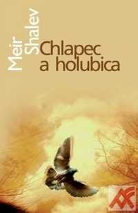 Chlapec a holubica