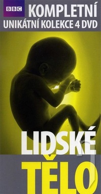 Indivíduá. Esej o deskriptívnej metafyzike