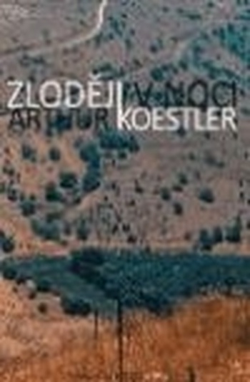 Zloději v noci