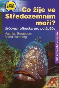 Co žije ve Středozemním moři? Určovací příručka pro potápěče