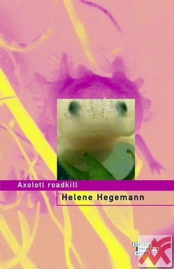 Axolotl roadkill