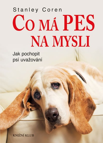 Co má pes na mysli