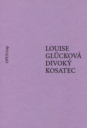 Divoký kosatec