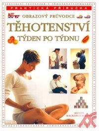 Těhotenství týden po týdnu - obrazový průvodce