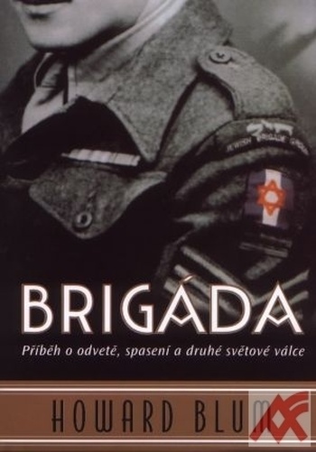 Brigáda