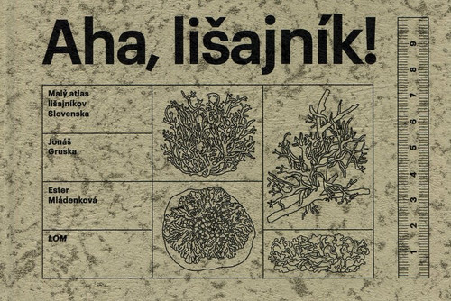 Aha, lišajník!