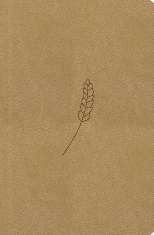 Bible21 - kapesní (honey)