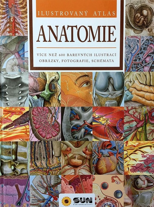 Anatomie. Ilustrovaný atlas