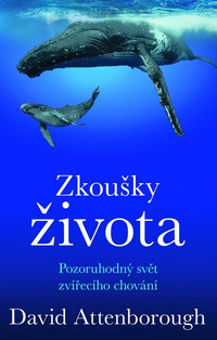Zkoušky života