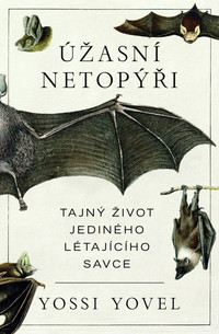 Úžasní netopýři