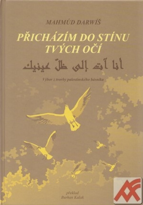Přicházím do stínu tvých očí