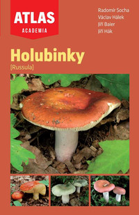 Holubinky