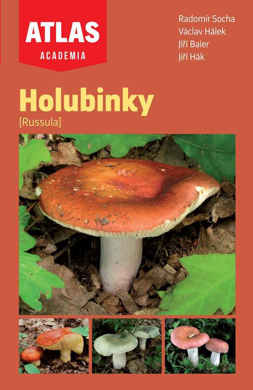 Holubinky