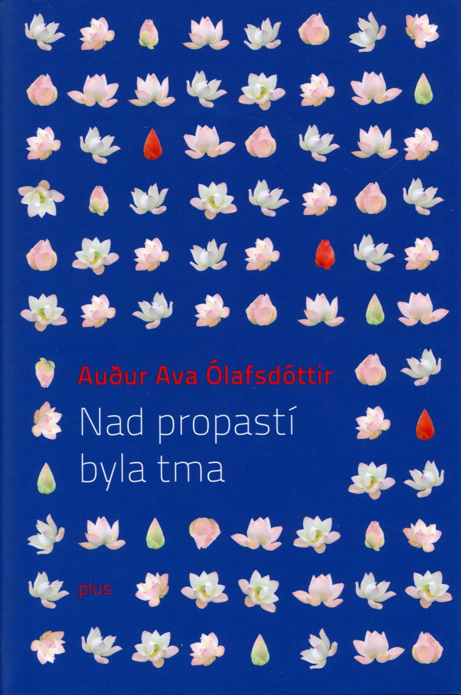 Nad propastí byla tma