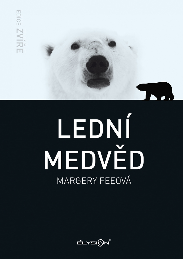 Lední medvěd