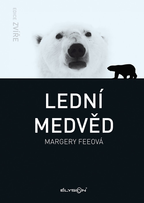 Lední medvěd