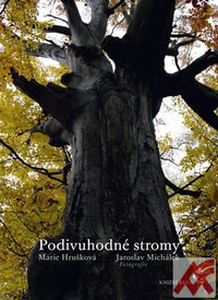Podivuhodné stromy