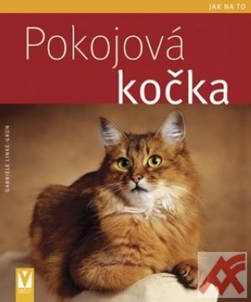 Pokojová kočka