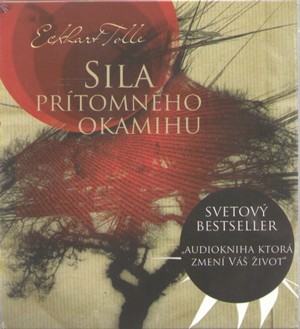 Sila prítomného okamihu - 6 CD (audiokniha)