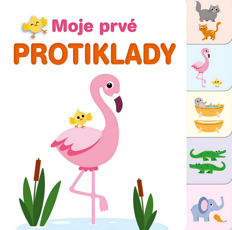 Moje prvé protiklady