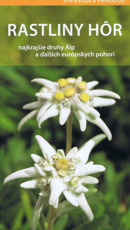 Rastliny hôr - najkrajšie druhy Álp a ďalších európskych pohorí