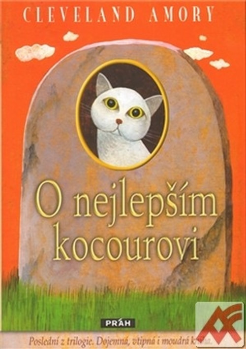 O nejlepším kocourovi