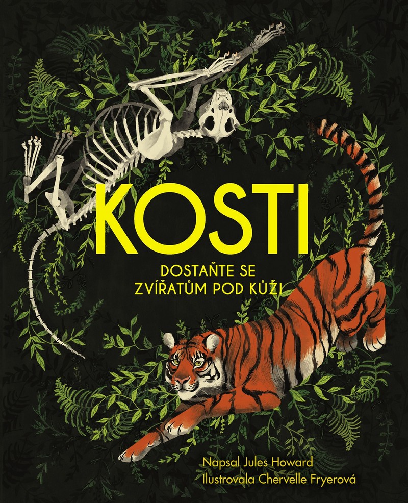 Kosti