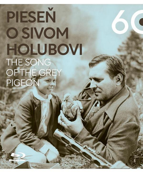 Pieseň o sivom holubovi - DVD (blu-ray)