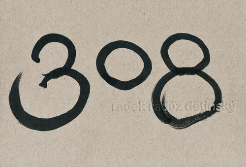 308