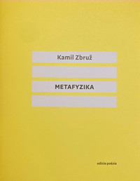Metafyzika
