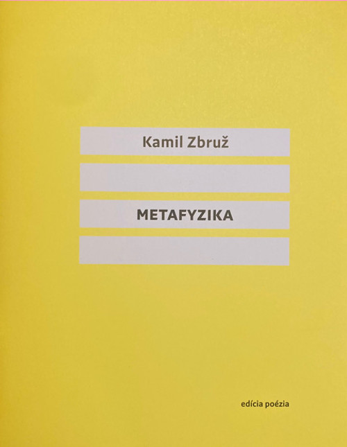Metafyzika