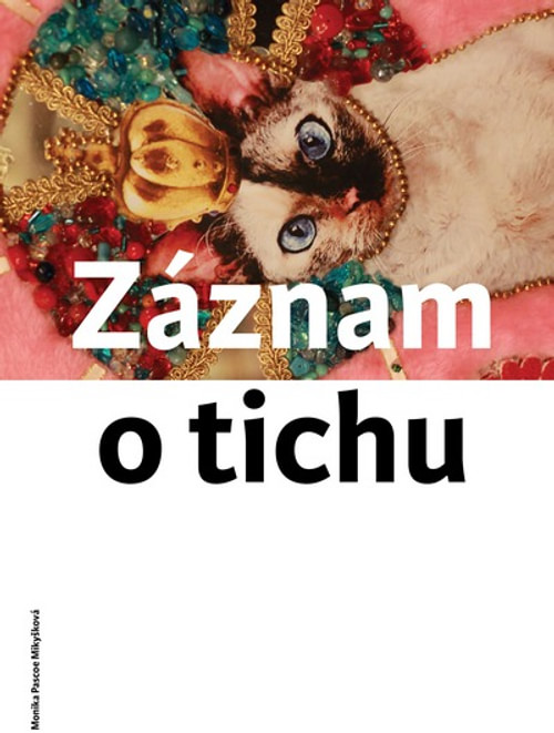 Záznam o tichu