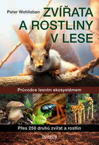 Zvířata a rostliny v lese